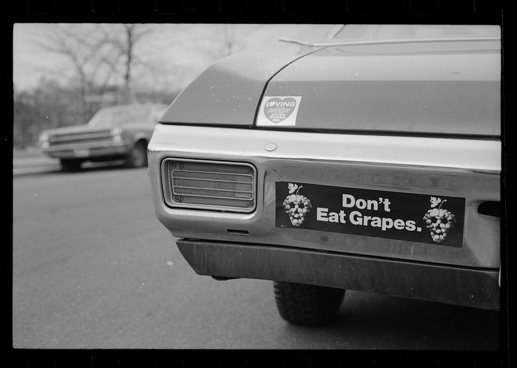 An image of a bumpers sticker that says 'don't eat grapes' with skull images on grape vines