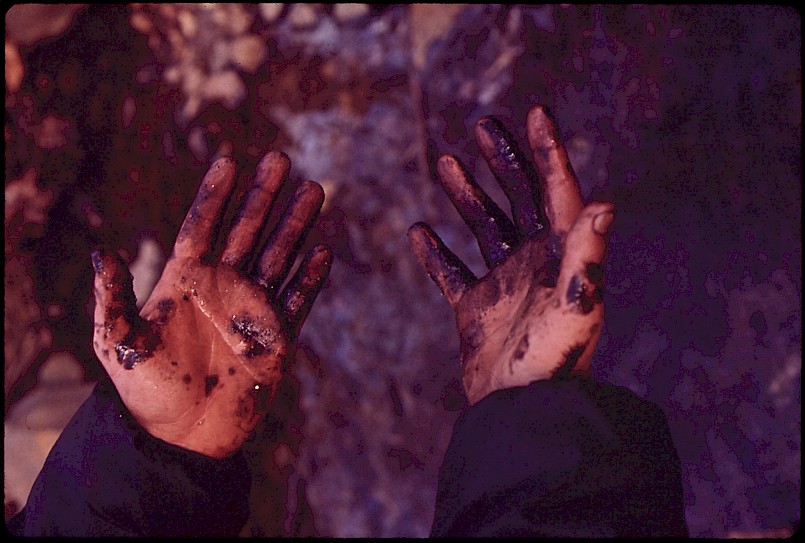 A pair of upturned hands, wet with crude oil