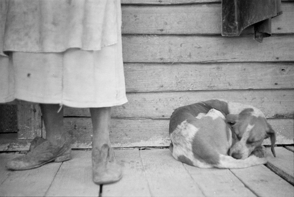 A person stands next to a dog curled up in a ball outside